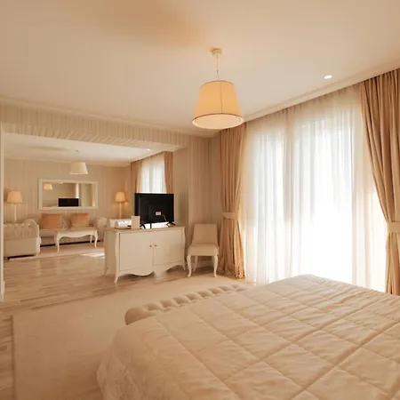 Palace Hotel & Spa-3